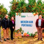metro-turkiye-cografi-isaret-tesciline-aday-mersin-kan-portakalinin-izinde.jpg