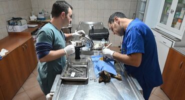 Kemer Belediyesi'nden “Can dostlarına" yardım eli