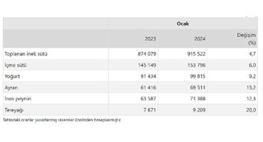 TÜİK: Ticari süt işletmelerince 915 bin 522 ton inek sütü toplandı