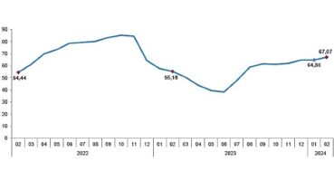 TÜİK: Tüketici fiyat endeksi (TÜFE) yıllık %67,07, aylık %4,53 arttı