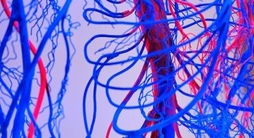 Damar Tikanıklarını Önlemenin 7 Etkili Yolu!