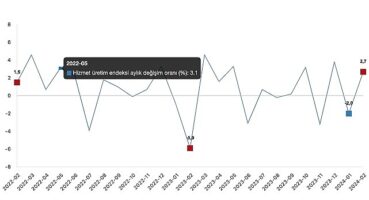Tüik: Hizmet üretim endeksi yıllık %13,8 arttı