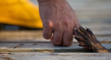 ‘Billy ve Molly: Bambaşka Bir Sevginin Hikayesi’ 26 Mayıs Pazar 21.00’de National Geographic Ekranlarında