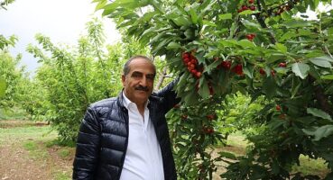 Kiraz hasat şenliğine gençler enerji kattı