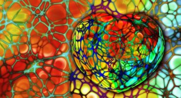 Aterosklerotik Kalp Hastalığı Nedir?