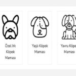 En İyi Köpek Maması Nasıl Olur