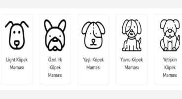 En İyi Köpek Maması Nasıl Olur?