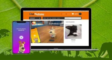 Kedi Kumu: Minik Dostunuz İçin Hijyen ve Konfor Rehberi