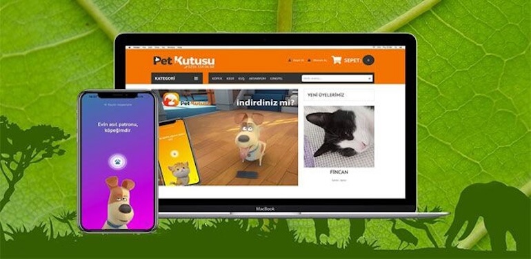 Kedi Kumu: Minik Dostunuz İçin Hijyen ve Konfor Rehberi