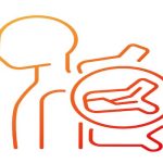 Omurga Kırığı ve Tedavi Seçenekleri: AO Spine Sınıflamasına Göre Yaklaşım