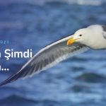 Sözlü Tercüme ve Tercüme