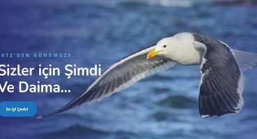 Sözlü Tercüme ve Tercüme