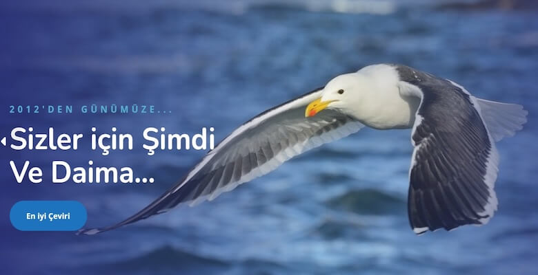 Sözlü Tercüme ve Tercüme